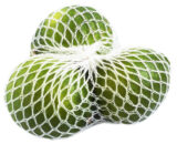 Papaya Single